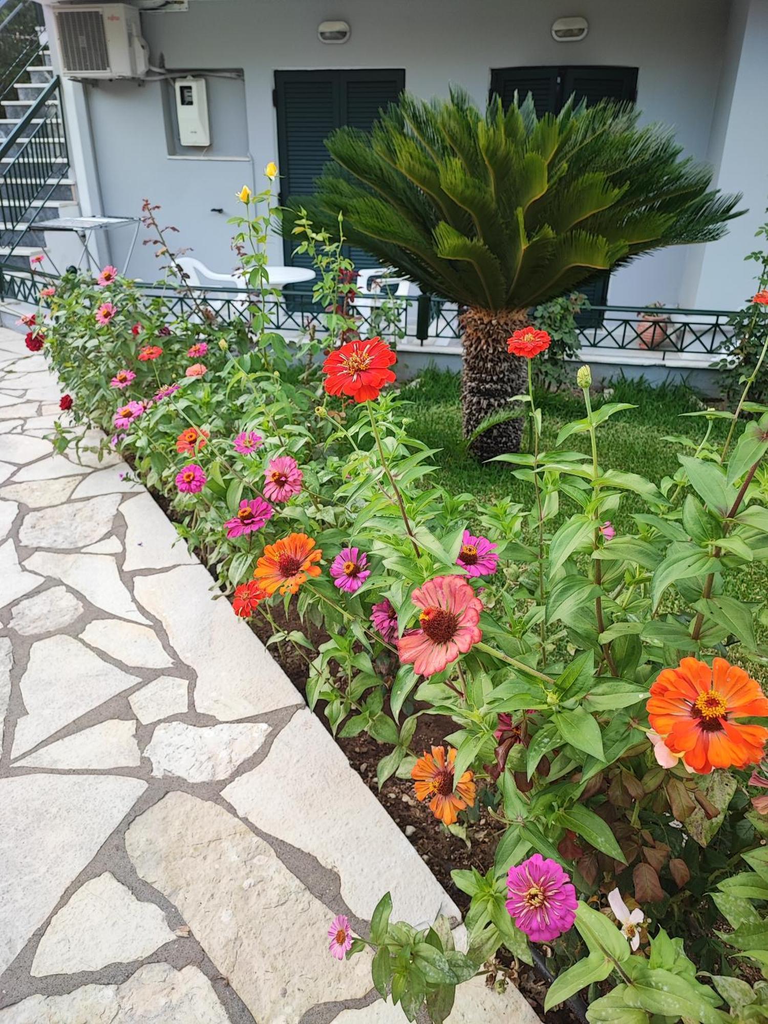 Niriton Residence Brand New Nydri Suites Exterior foto